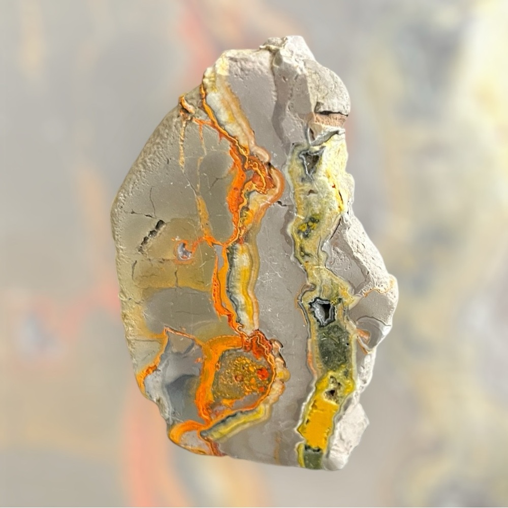 Bumble Bee Jasper Slab